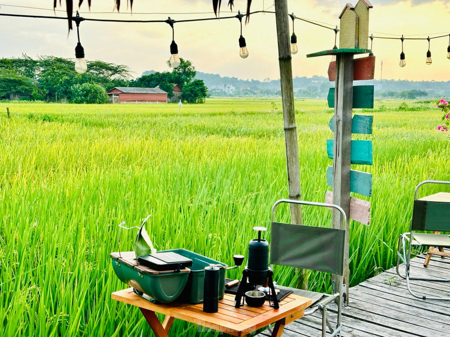 Đầu tháng 6 là lúc cả cánh đồng lúa chuyển dần từ xanh sang vàng và bắt đầu bước vào mùa gặt. Ngoài uống cà phê, thưởng thức các bữa ăn hương đồng gió nội, du khách còn được trải nghiệm gặt lúa cùng bà con, hít hà hương lúa thơm nồng. Đầu tháng 6 là lúc cả cánh đồng lúa chuyển dần từ xanh sang vàng và bắt đầu bước vào mùa gặt. Ngoài uống cà phê, thưởng thức các bữa ăn hương đồng gió nội, du khách còn được trải nghiệm gặt lúa cùng bà con, hít hà hương lúa thơm nồng.