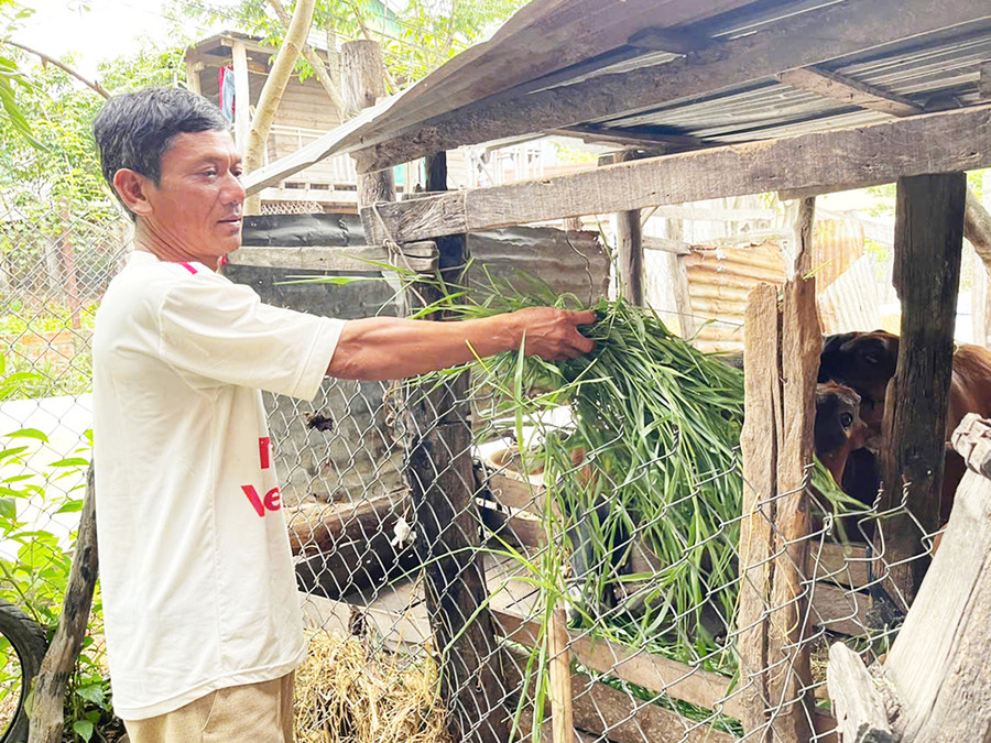 Nhờ mô hình kinh tế tổng hợp, gia đình ông Nay Bớt (buôn H’Liếp) trở thành hộ sản xuất kinh doanh giỏi cấp xã. Ảnh: V.C