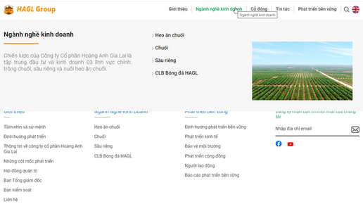 HAG chỉ còn ngành nghề kinh doanh về heo, chuối, sầu riêng và bóng đá.