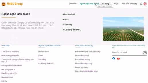 HAG chỉ còn ngành nghề kinh doanh về heo, chuối, sầu riêng và bóng đá.