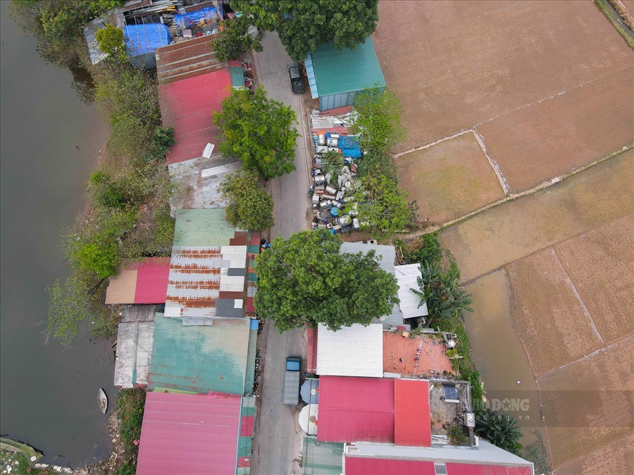 Đất nông nghiệp khác cũng được chuyển nhượng nếu đáp ứng đầy đủ điều kiện chuyển nhượng quyền sử dụng đất theo quy định của pháp luật. Ảnh: Phan Anh