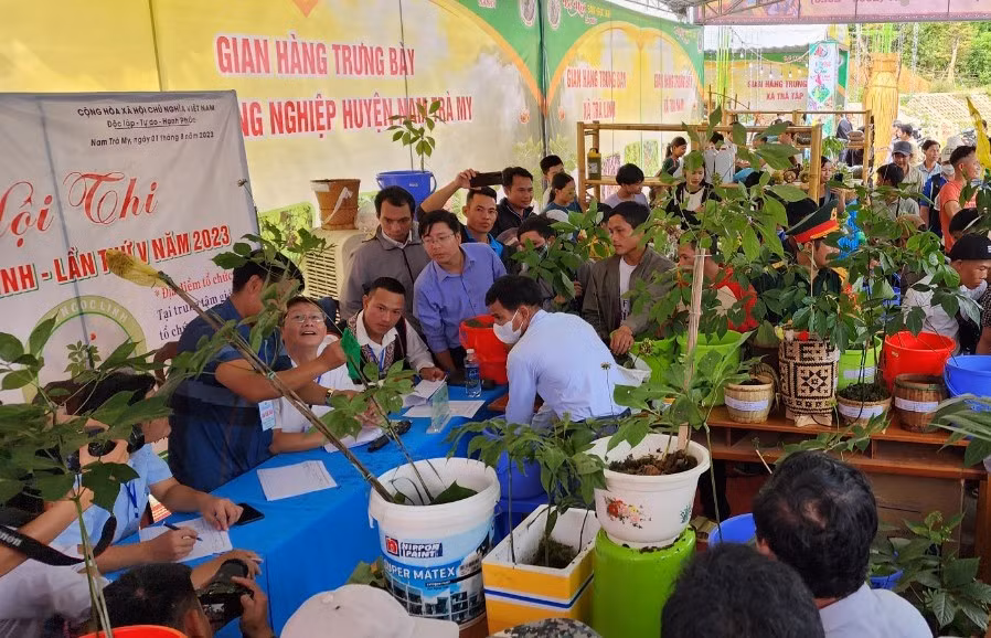 Lễ hội Sâm Ngọc Linh 2023 (Từ ngày 1-3.8) tại huyện Nam Trà My, Quảng Nam thu hút đông đảo du khách tham gia. Ảnh Hoàng Bin