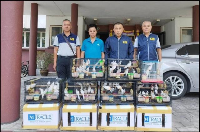 Cảnh sát chụp ảnh với nghi phạm người Việt Nam (thứ hai từ trái sang) và 58 con chim chào mào bị thu giữ. Chụp màn hình Bangkok Post