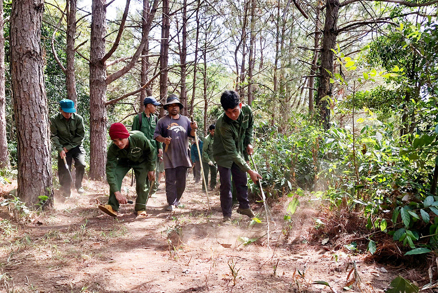 Thời gian qua, Ban Quản lý rừng phòng hộ Ia Ly thường xuyên phối hợp với các lực lượng chức năng và người dân thực hiện tốt công tác quản lý, bảo vệ rừng giáp ranh. Ảnh: N.D Thời gian qua, Ban Quản lý rừng phòng hộ Ia Ly thường xuyên phối hợp với các lực lượng chức năng và người dân thực hiện tốt công tác quản lý, bảo vệ rừng giáp ranh. Ảnh: N.D