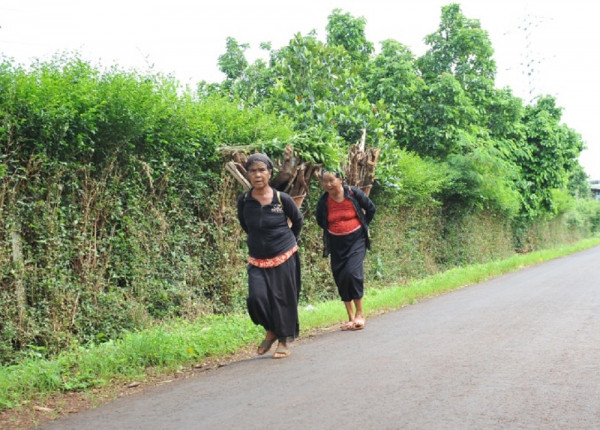 Cuộc sống thanh bình của bà con ở Đắk Lắk.