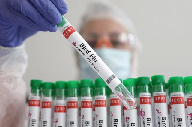 Không có dấu hiệu lây nhiễm từ người sang người đối với ca tử vong vì cúm H5N2 tại Mexico. Ảnh: REUTERS Không có dấu hiệu lây nhiễm từ người sang người đối với ca tử vong vì cúm H5N2 tại Mexico. Ảnh: REUTERS