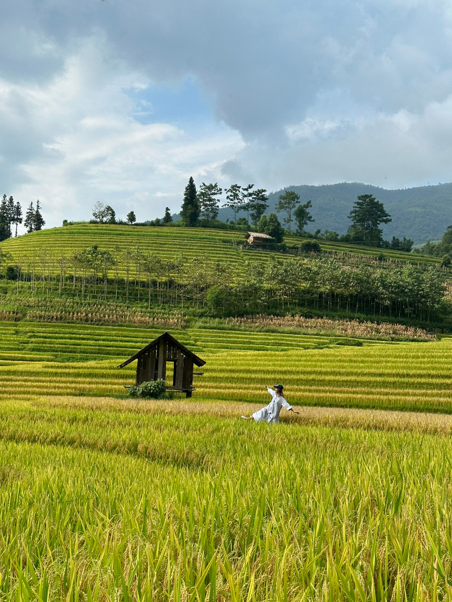 Đứng ở bất kỳ góc nào giữa thung lũng du khách cũng có thể chụp được vô số tấm ảnh đẹp mùa lúa chín. Đứng ở bất kỳ góc nào giữa thung lũng du khách cũng có thể chụp được vô số tấm ảnh đẹp mùa lúa chín.