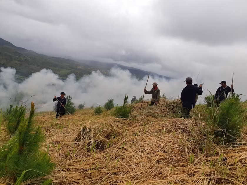Ban Quản lý rừng phòng hộ Mang Yang chủ động phối hợp với người dân nhận khoán phát dọn thực bì rừng trồng trong mùa khô. Ảnh: Nguyễn Diệp Ban Quản lý rừng phòng hộ Mang Yang chủ động phối hợp với người dân nhận khoán phát dọn thực bì rừng trồng trong mùa khô. Ảnh: Nguyễn Diệp
