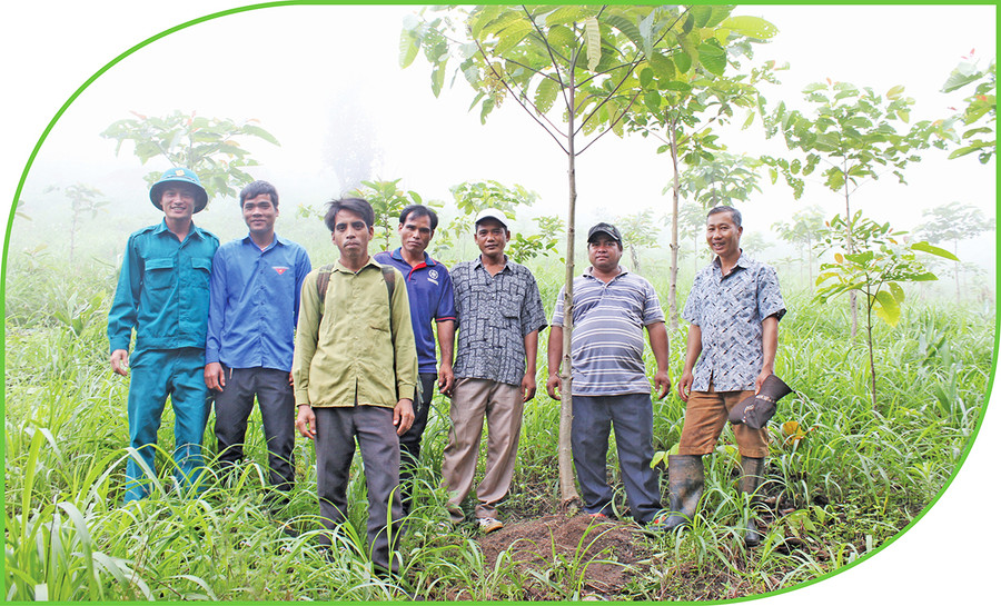 Người dân tham quan vườn gáo vàng của ông Võ Anh Sơn. Ảnh: N.D