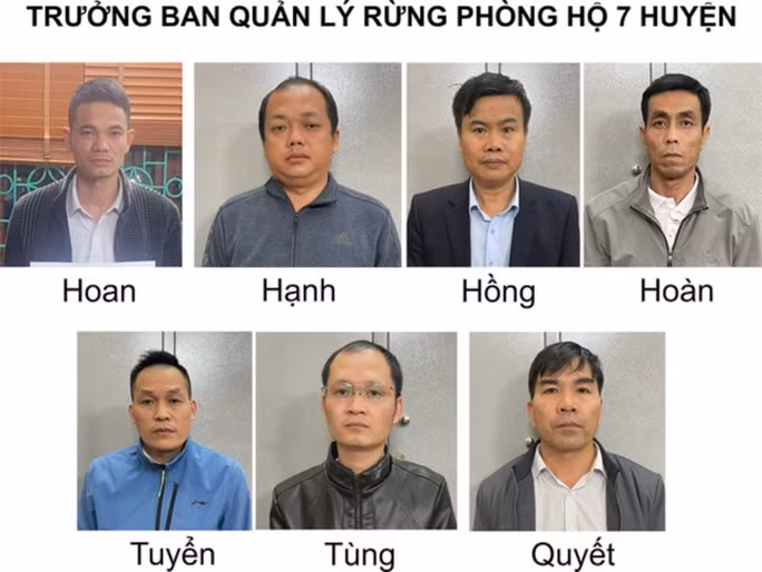 Các trưởng ban quản lý rừng phòng hộ tại cơ quan công an. Ảnh: Công an cung cấp