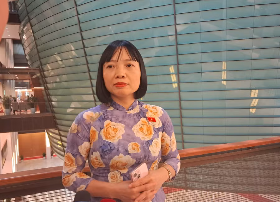 Đại biểu Quốc hội Nguyễn Thị Việt Nga - Phó Trưởng đoàn chuyên trách Đoàn đại biểu Quốc hội tỉnh Hải Dương. (Ảnh: Hùng Võ/Vietnam+)