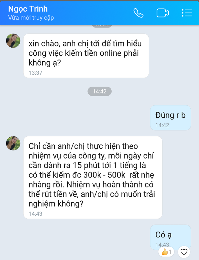 Mắc bẫy lừa đảo qua mạng, người dân Kon Tum mất tiền tỉ - Ảnh 2. Kẻ lừa đảo thường dùng chiêu bài việc nhẹ, thu nhập cao để dụ dỗ nạn nhân. CHỤP MÀN HÌNH