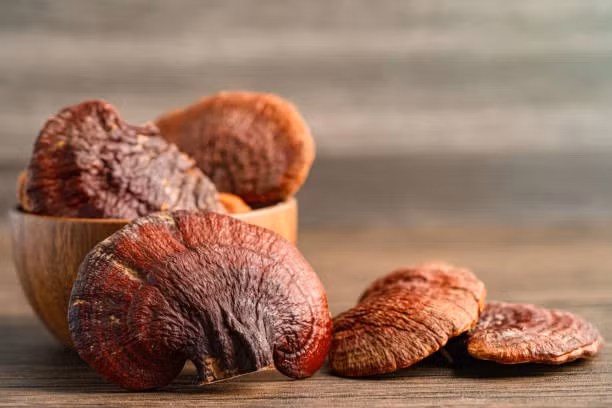 Một số loại nấm như nấm linh chi và maitake (Nhật), có đặc tính chống viêm, từ đó tạo ra môi trường bất lợi cho sự phát triển của ung thư. Ảnh: SHUTTERSTOCK