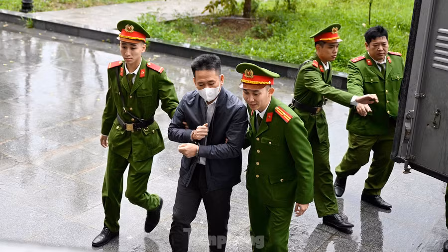 Cùng hầu tòa có Đỗ Hoàng Việt (con trai ông Dũng); Phùng Thế Tính (nguyên Giám đốc Trung tâm Tài chính - Kế toán, kiêm Giám đốc Ban Tài chính - Kế toán Tân Hoàng Minh); Hoàng Quyết Chiến (quyền Phó Giám đốc Trung tâm Tài chính - Kế toán, kiêm Giám đốc Ban Tài chính - Kế toán); Lê Thị Mai (nguyên Phó trưởng Ban Nguồn vốn); Vũ Lê Vân Anh (Phó Giám đốc Ban Nguồn vốn); Nguyễn Văn Khẩn (Phó trưởng phòng Ngân sách Trung tâm Tài chính - Kế toán); Lê Văn Thịnh (Phó Tổng Giám đốc); Trần Hồng Sơn (Phó Tổng Giám đốc); Nguyễn Khoa Đức (Trợ lý Phó Tổng Giám đốc Tân Hoàng Minh, Giám đốc Công ty Cung điện Mùa Đông); Nguyễn Mạnh Hùng (Chủ tịch HĐQT Công ty Ngôi Sao Việt); Bùi Thị Ngọc Lân (nguyên Giám đốc Công ty kiểm toán Nam Việt Chi nhánh phía Bắc); Lê Văn Dò (Tổng Giám đốc Công ty Kiểm toán và Kế toán Hà Nội); Phan Anh Hùng (nguyên Phó Giám đốc Công ty CPA Hà Nội Chi nhánh Sài Gòn); Nguyễn Thị Hải (nguyên Phó Tổng Giám đốc Công ty CPA Hà Nội).