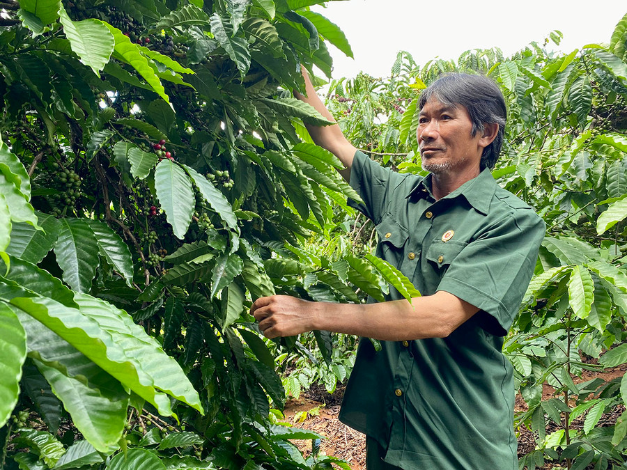 Cơ sở dữ liệu dùng chung sẽ giúp nông dân tra cứu thông tin về các cơ sở có giấy chứng nhận đủ điều kiện buôn bán phân bón trên địa bàn tỉnh. Ảnh: Hà Duy Cơ sở dữ liệu dùng chung sẽ giúp nông dân tra cứu thông tin về các cơ sở có giấy chứng nhận đủ điều kiện buôn bán phân bón trên địa bàn tỉnh. Ảnh: Hà Duy