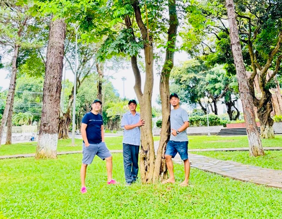 Cây trắc ở Quảng trường Đại Đoàn Kết (TP. Pleiku). Ảnh: B.H