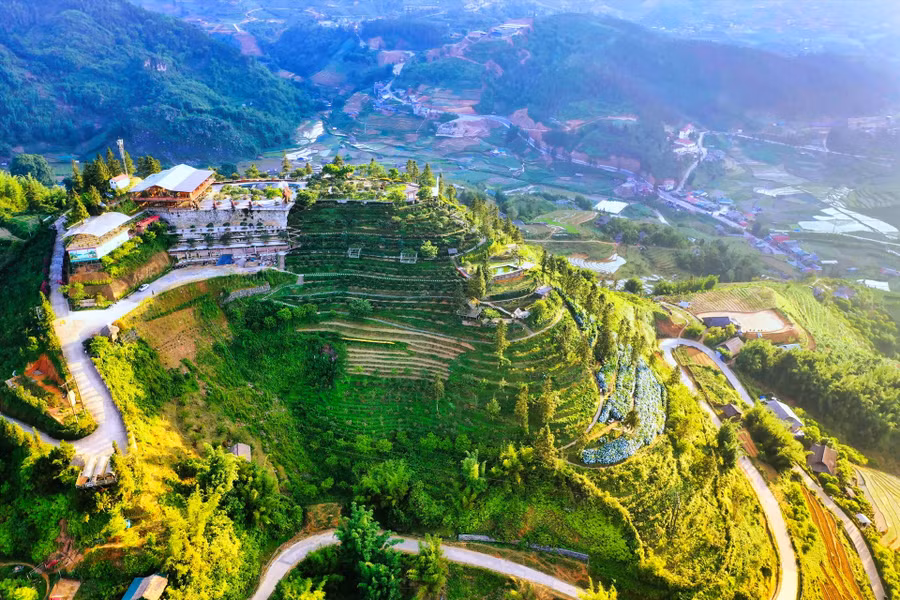 Sa Pa được biết đến là vùng đất của muôn sắc hoa, là nơi hội tụ của hoa hồng cổ, hoa đỗ quyên, hoa địa lan… với vẻ đẹp nên thơ, say đắm lòng người. Ảnh: Phạm Quỳnh