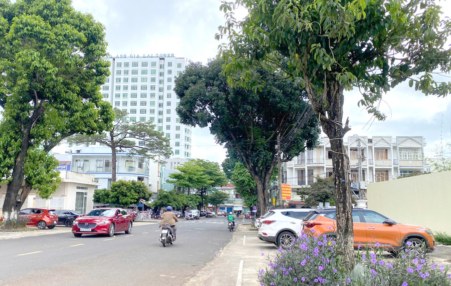 Xe ô tô đang dần trở thành phương tiện giao thông phổ biến ở TP. Pleiku. Ảnh: Minh Tiến