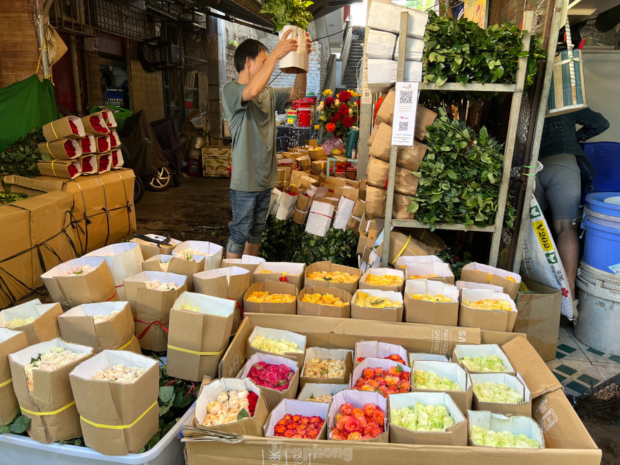 Hoa hồng tươi đủ các màu, vừa được đưa về chợ ở TPHCM mòn mỏi chờ khách mua. Hoa hồng tươi đủ các màu, vừa được đưa về chợ ở TPHCM mòn mỏi chờ khách mua.
