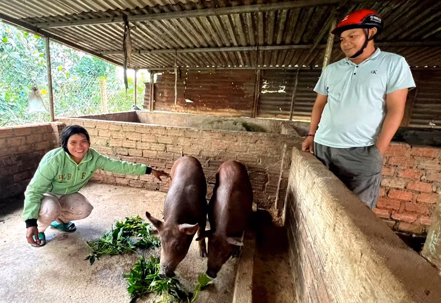 Chị Rcom H'Bế (làng Blang 1, xã Ia Dêr, huyện Ia Grai) vui mừng khi được tặng heo nái sinh sản. Ảnh: Đ.Y Chị Rcom H'Bế (làng Blang 1, xã Ia Dêr, huyện Ia Grai) vui mừng khi được tặng heo nái sinh sản. Ảnh: Đ.Y