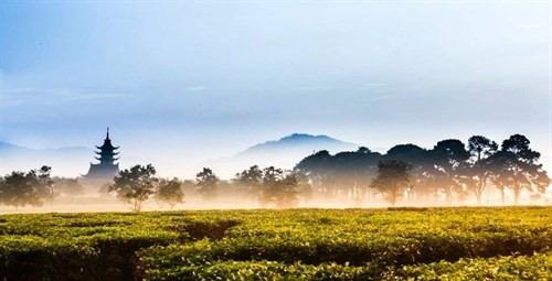 Chùa Bửu Minh (TP. Pleiku, Gia Lai) trong sương. Ảnh nguồn internet