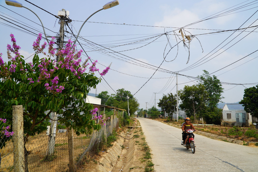 Những con đường nông thôn mới cũng được điểm tô bằng sắc tím bằng lăng