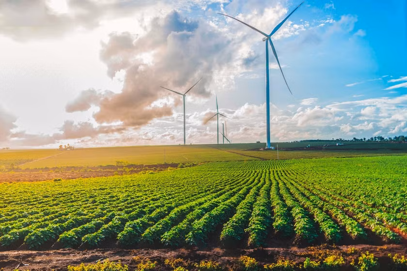 Cánh đồng điện gió xã Ia Pết (huyện Đak Đoa, Gia Lai). Ảnh: Phạm Quý