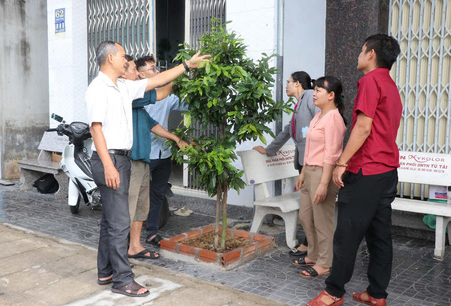 Cán bộ Ủy ban MTTQ Việt Nam phường Tây Sơn vận động người dân xây dựng mô hình “Đường hoa mai”. Ảnh: Ngọc Minh Cán bộ Ủy ban MTTQ Việt Nam phường Tây Sơn vận động người dân xây dựng mô hình “Đường hoa mai”. Ảnh: Ngọc Minh