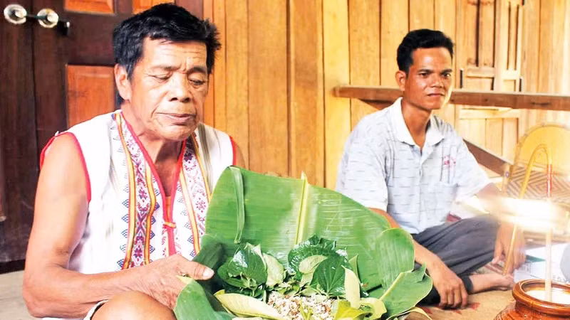 Già A Blong giới thiệu món cá gỏi kiến vàng.