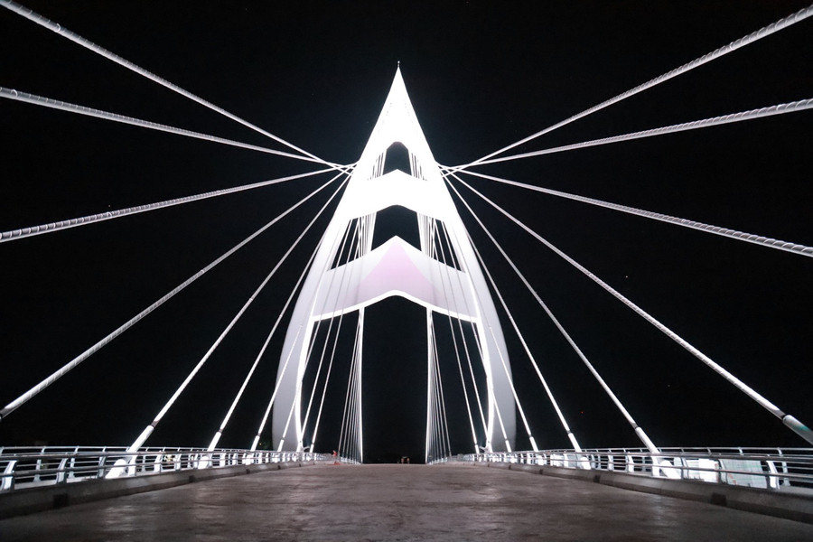 Lấy ý tưởng từ búp sen hồng, cây cầu có tổng chiều dài 327m, trong đó chiều dài thực 210m. Sơ đồ cấu trúc nhịp 100+100m và nhịp chính có chiều cao 73m mang hình dáng búp sen vươn lên trời cao Ảnh: Bảo Khánh