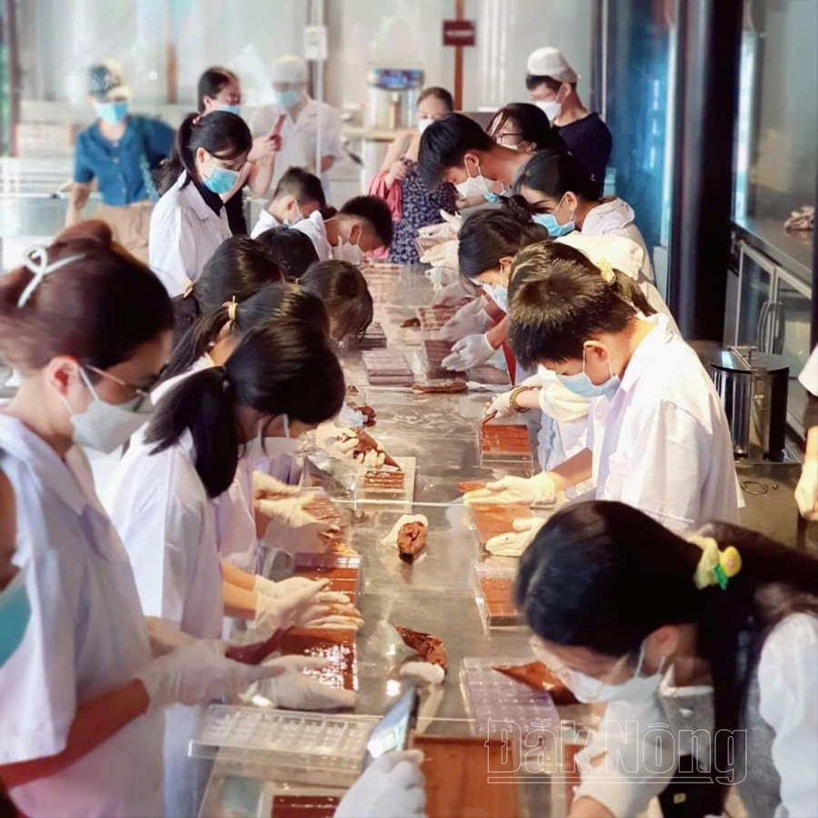 Trải nghiệm làm socola tại Công ty Cà phê Bazan Đắk Nông Trải nghiệm làm socola tại Công ty Cà phê Bazan Đắk Nông