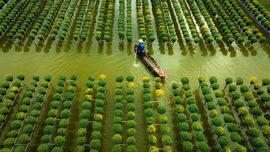 Người dân tưới nước cho hoa. Ảnh: BÙI VĂN HẢI Người dân tưới nước cho hoa. Ảnh: BÙI VĂN HẢI