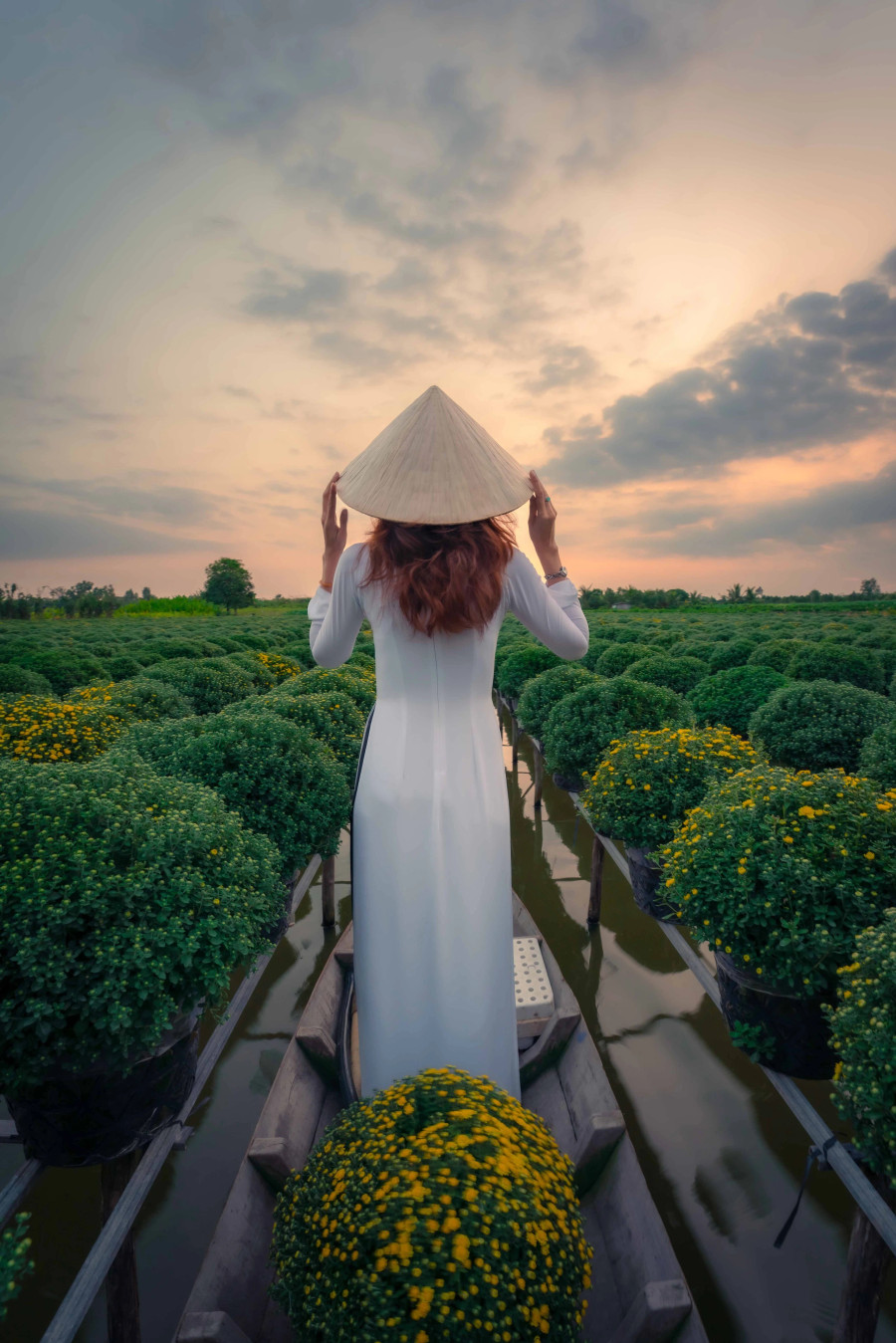 Thậm chí, nhiều ruộng hoa còn được bơm thêm nước để dễ dàng chèo xuồng len vào giữa các luống hoa giúp việc vận chuyển và di chuyển được thuận tiện hơn. Nhờ vậy, đến với làng hoa Sa Đéc mọi người dễ dàng bắt gặp những hình ảnh đậm chất miền Tây Nam bộ khi người phụ nữ đội nón lá, mặc áo bà ba, bơi xuồng... Nơi này cũng thu hút nhiều bạn trẻ đến chụp ảnh. Ảnh: BÙI VĂN HẢI Thậm chí, nhiều ruộng hoa còn được bơm thêm nước để dễ dàng chèo xuồng len vào giữa các luống hoa giúp việc vận chuyển và di chuyển được thuận tiện hơn. Nhờ vậy, đến với làng hoa Sa Đéc mọi người dễ dàng bắt gặp những hình ảnh đậm chất miền Tây Nam bộ khi người phụ nữ đội nón lá, mặc áo bà ba, bơi xuồng... Nơi này cũng thu hút nhiều bạn trẻ đến chụp ảnh. Ảnh: BÙI VĂN HẢI