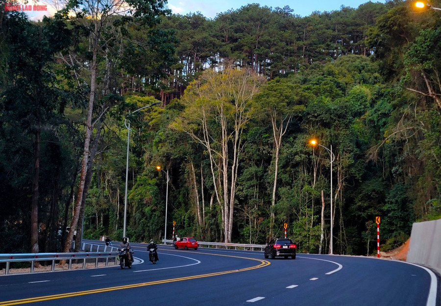 Cung đèo xuyên qua cánh rừng thông đặc trưng của Đà Lạt. Hệ thống điện chiếu sáng cũng đã hoạt động. Cung đèo xuyên qua cánh rừng thông đặc trưng của Đà Lạt. Hệ thống điện chiếu sáng cũng đã hoạt động.