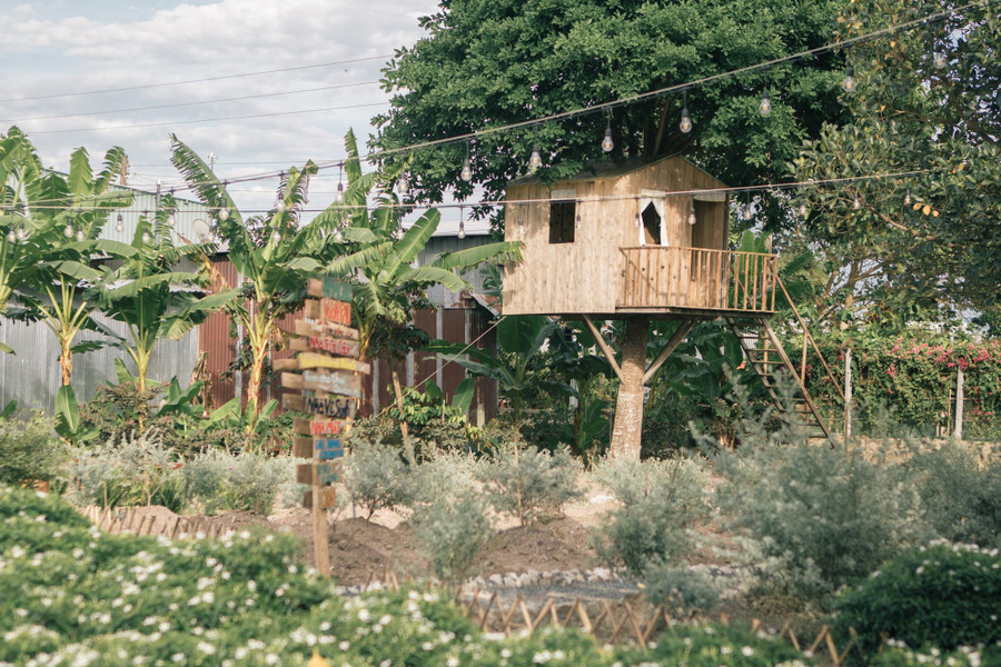 Một trong những view đẹp của quán cà phê Nhà Quê. Ảnh: Duy Tân Một trong những view đẹp của quán cà phê Nhà Quê. Ảnh: Duy Tân