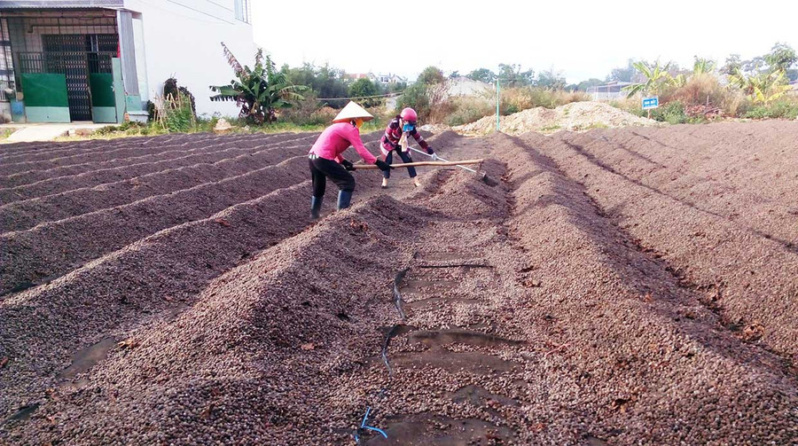Nữ giới đang chịu những bất bình đẳng và định kiến giới trong việc làm, thu nhập và đời sống. Ảnh: HL Nữ giới đang chịu những bất bình đẳng và định kiến giới trong việc làm, thu nhập và đời sống. Ảnh: HL