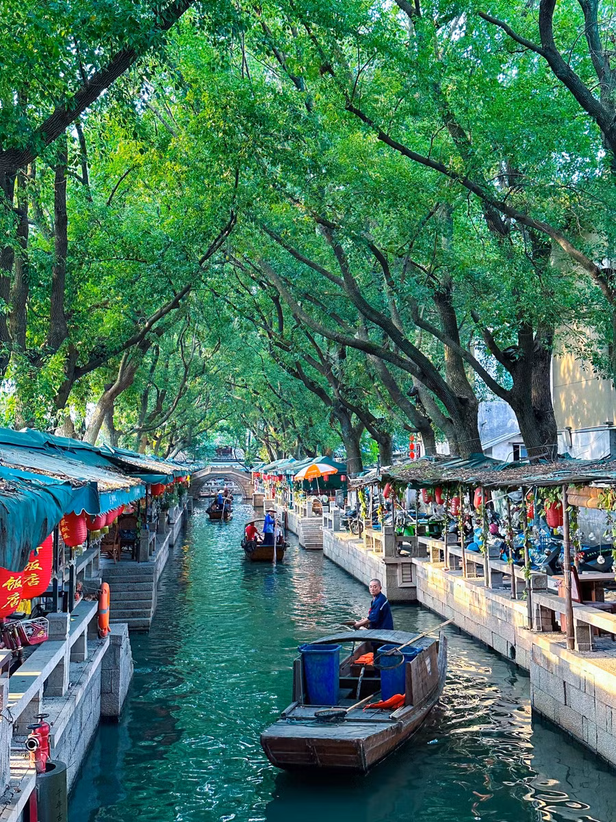 Đẹp như tranh vẽ, Đồng Lý được nhận xét là "cổ trấn đậm chất Giang Nam nhất ở Tô Châu", Trung Quốc. Cổ trấn nằm ở phía nam sông Dương Tử nổi tiếng với quần thể kiến trúc được xây dựng từ thời nhà Tống (960-1279) vẫn gần như nguyên vẹn đến ngày nay. Ngay nhà mới xây cũng phải tuân thủ lối kiến trúc đã thống nhất của cổ trấn để không phá vỡ cảnh quan chung.