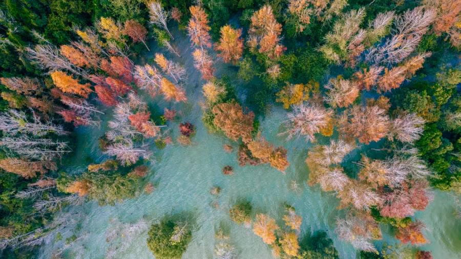 Góc nhìn từ trên cao mang lại vẻ đẹp lạ thường. Ảnh: ĐỨC HIẾU