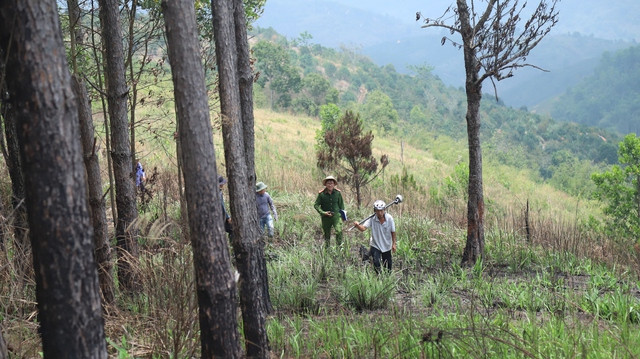 Cơ quan chức năng khám nghiệm hiện trường vụ giao nhận khoán rừng trái qui định ở H.Bảo Lâm. Ảnh: CTV