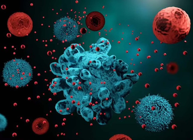 Loại rau được CDC Mỹ xếp hạng giàu dinh dưỡng nhất - Ảnh 1. Xà lách xoong chứa isothiocyanates, có thể giúp ngăn ngừa ung thư. Ảnh: Shutterstock