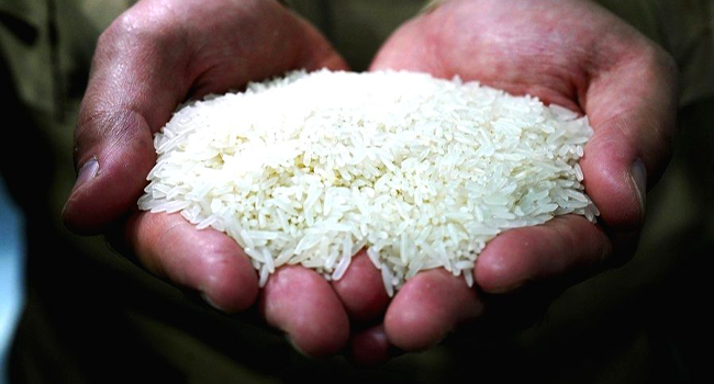 Ấn Độ cấm xuất khẩu gạo từ ngày 20.7.2023. Ảnh: Xinhua