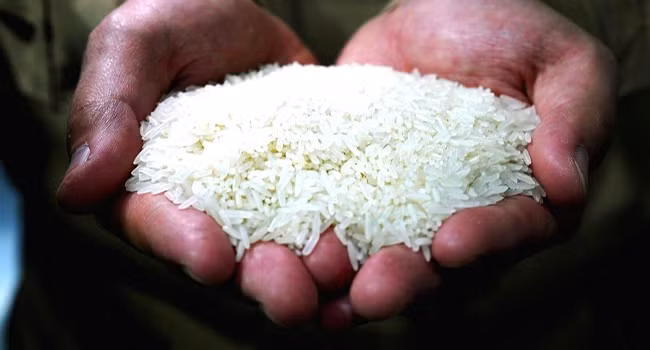 Ấn Độ cấm xuất khẩu gạo từ ngày 20.7.2023. Ảnh: Xinhua