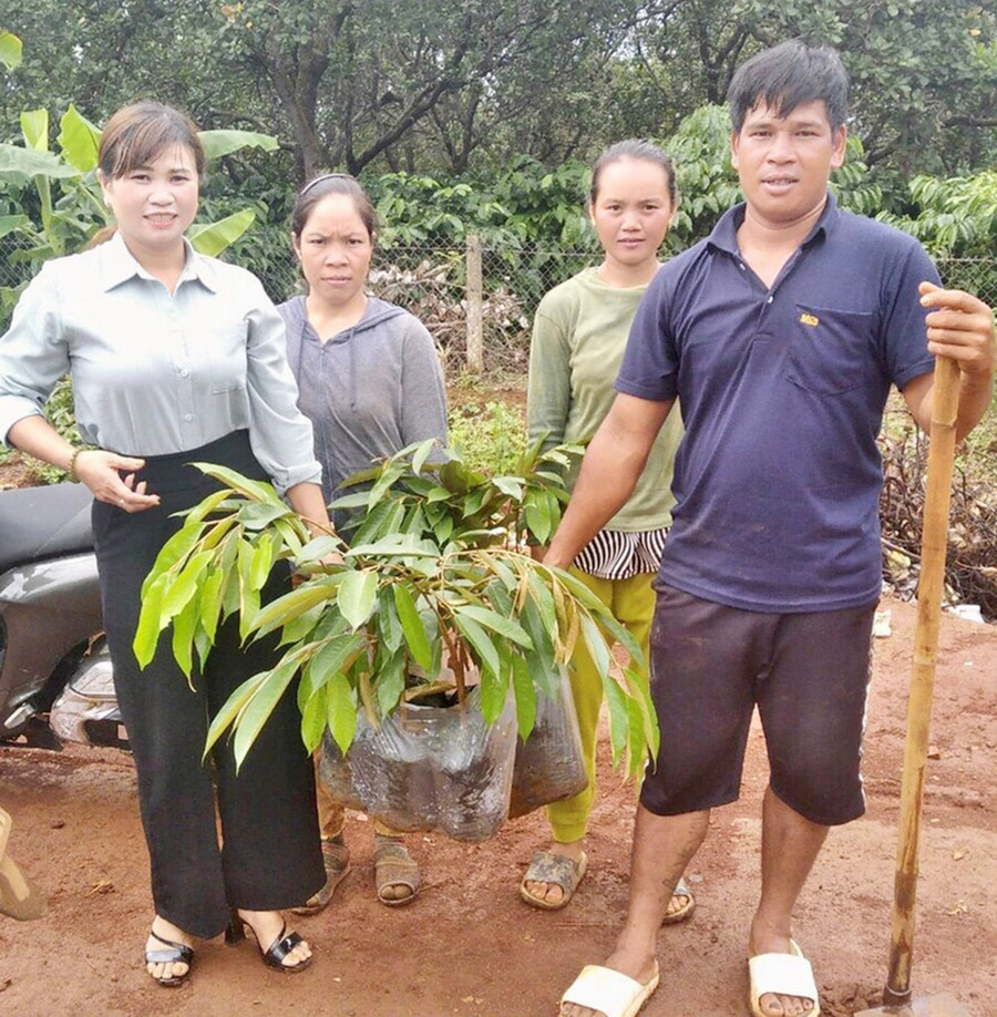 Hội Nông dân xã Ia Grăng (huyện Ia Grai) hỗ trợ cây giống cho hội viên. Ảnh: A.H