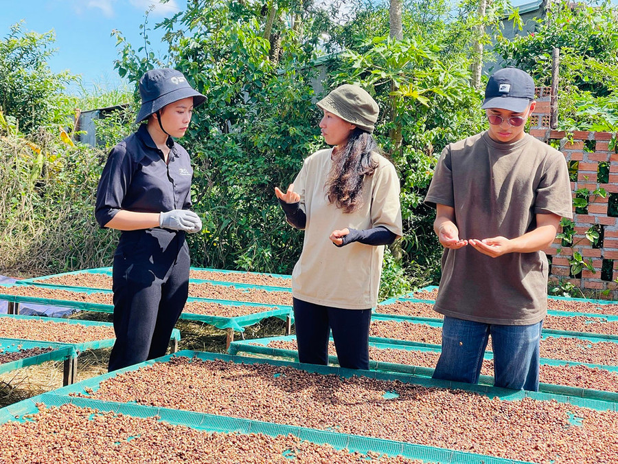 Để thực hiện hành trình “from farm to cup”, chị Tâm đã trực tiếp kết nối với các trang trại cà phê sản xuất theo hướng hữu cơ trên địa bàn tỉnh. Ảnh: T.D Để thực hiện hành trình “from farm to cup”, chị Tâm đã trực tiếp kết nối với các trang trại cà phê sản xuất theo hướng hữu cơ trên địa bàn tỉnh. Ảnh: T.D