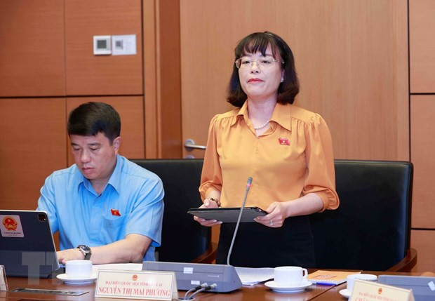 Đại biểu Quốc hội tỉnh Gia Lai Nguyễn Thị Mai Phương phát biểu. (Ảnh: Doãn Tấn/TTXVN) Đại biểu Quốc hội tỉnh Gia Lai Nguyễn Thị Mai Phương phát biểu. (Ảnh: Doãn Tấn/TTXVN)