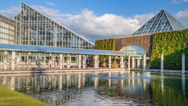 ẢNH: PIXABAY ẢNH: PIXABAY