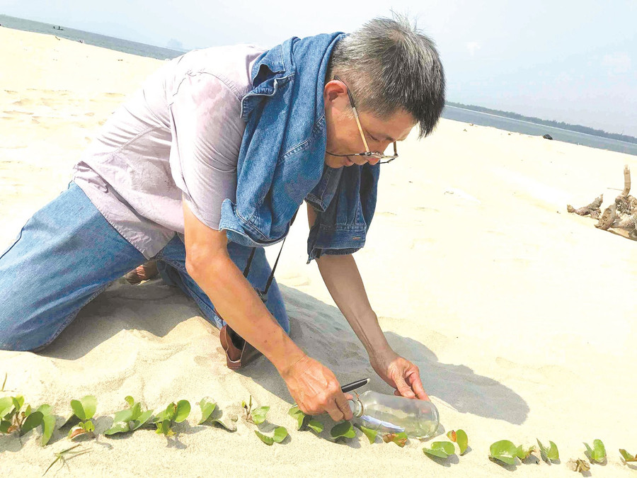 Lá thư trong chai gửi từ đảo cát khủng long ngoài khơi Cửa Đại - Hội An. Ảnh: K.N Lá thư trong chai gửi từ đảo cát khủng long ngoài khơi Cửa Đại - Hội An. Ảnh: K.N
