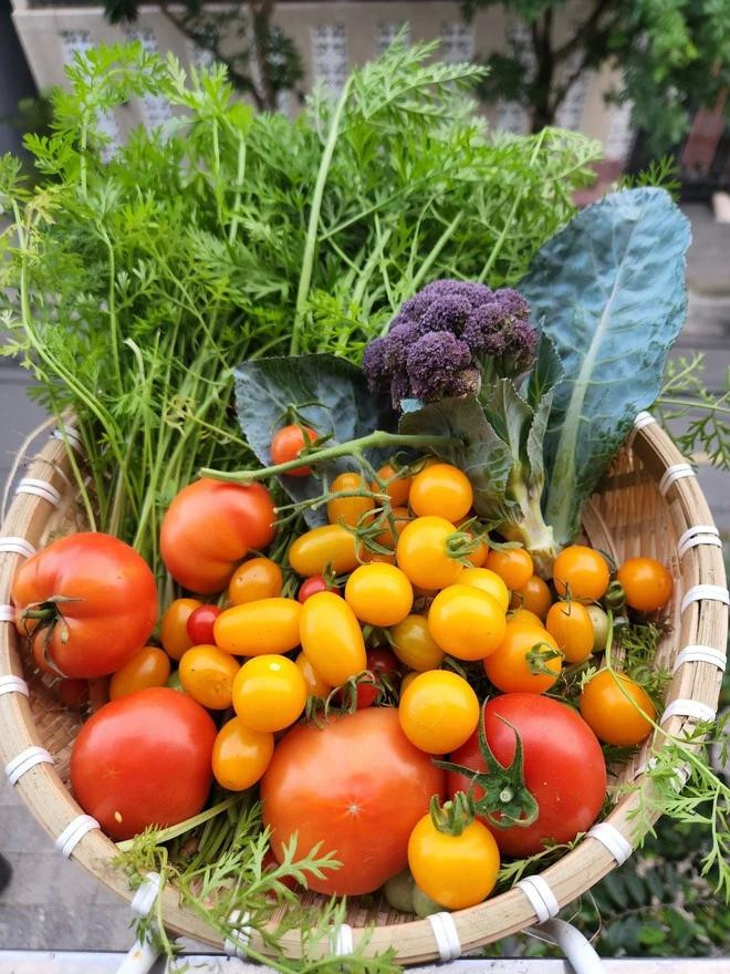 Chị Luy cho biết mỗi lần thu hoạch là mỏi cả tay. Ảnh NVCC