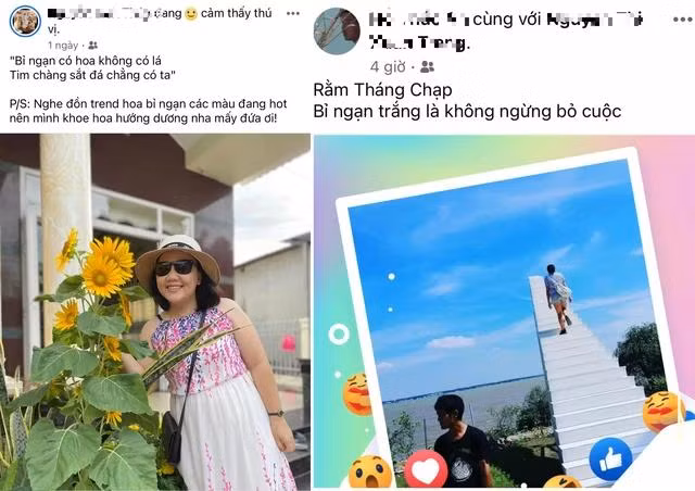 Bạn trẻ bắt "trend" ý nghĩa màu hoa bỉ ngạn. CHỤP MÀN HÌNH Bạn trẻ bắt "trend" ý nghĩa màu hoa bỉ ngạn. CHỤP MÀN HÌNH
