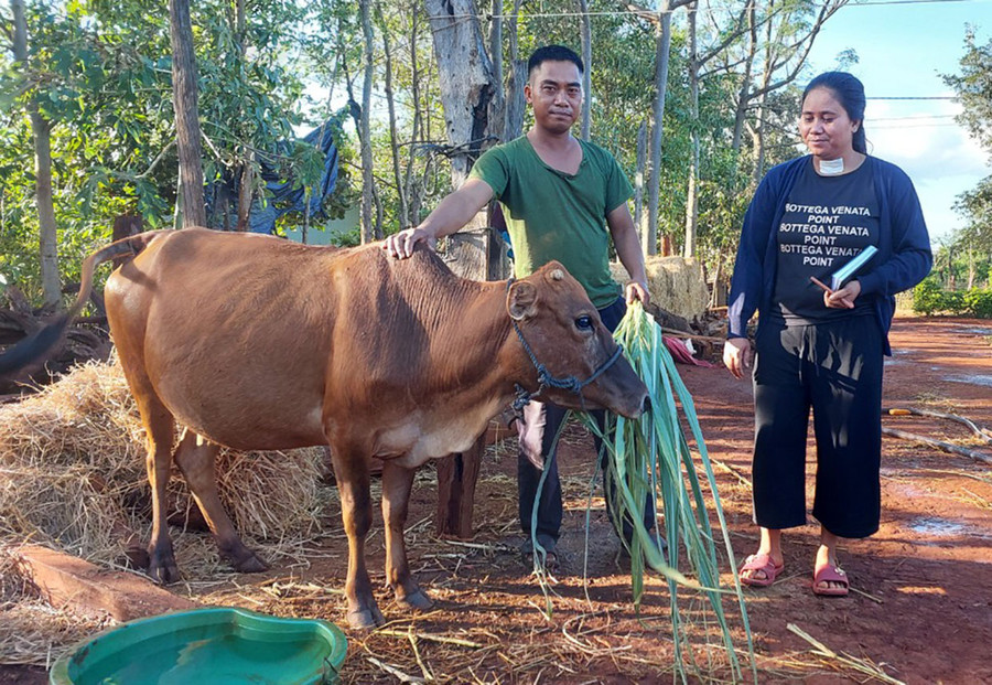 Bà Rmah H’Long-Trưởng thôn Thơh Ga B trao đổi với anh Siu Blin về kinh nghiệm chăn nuôi bò. Ảnh: N.D Bà Rmah H’Long-Trưởng thôn Thơh Ga B trao đổi với anh Siu Blin về kinh nghiệm chăn nuôi bò. Ảnh: N.D